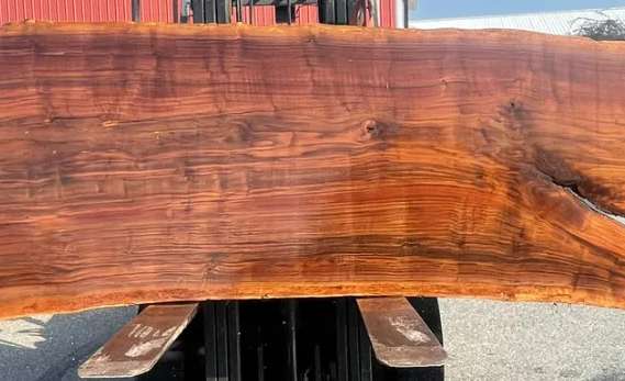 Claro walnut live edge countertop with rich wood grain and natural edges. Claro walnut live edge countertop with rich wood grain and natural edges.