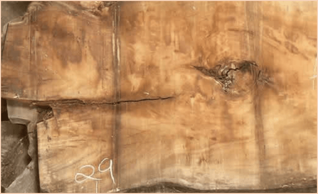 Close-up of a Koa live edge countertop with distinctive wood grain and natural edges. Close-up of a Koa live edge countertop with distinctive wood grain and natural edges.