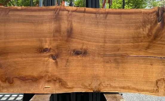 Close-up of a walnut live edge countertop with prominent wood grain and natural edges. Close-up of a walnut live edge countertop with prominent wood grain and natural edges.